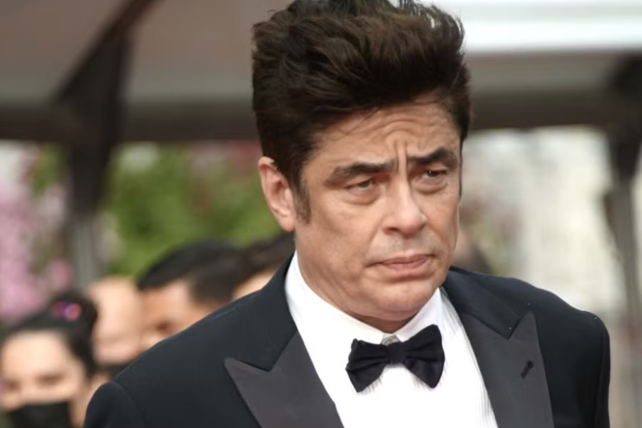 benicio del toro net worth